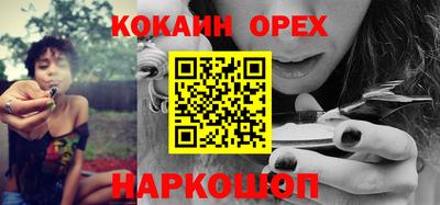 СК Новокубанск