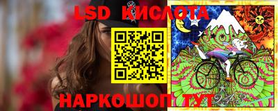 СК Новокубанск