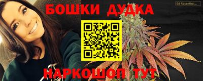 СК Новокубанск